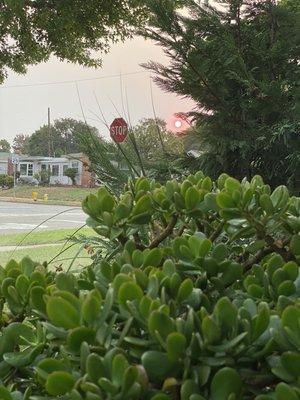 Amazing Red Sunrise on Monday morning