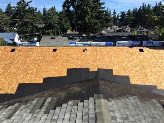 Plywood is in excellent condition after 20 years.  Amazing!  (Photos courtesy Portland Quality Roofing)