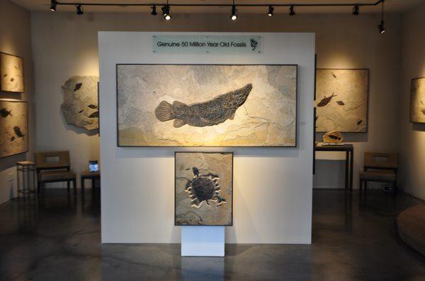 Fossil Gallery at Filsinger Fine Art, Palm Desert, CA