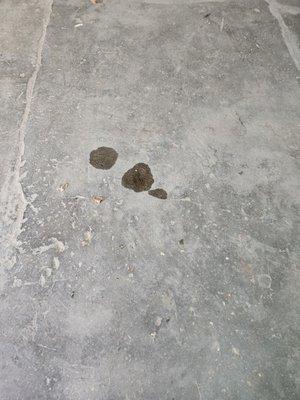 Oil leaking in my garage after Joey's oil change.