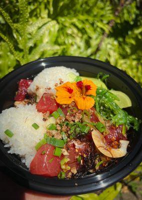 Kaka'ako Bowl: Sushi rice, shoyu ahi poke, ocean salad