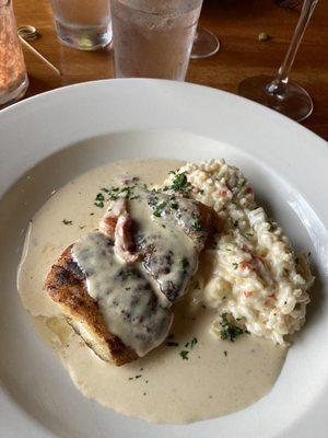 Catch of the day Corvina with risotto and beurre blanc