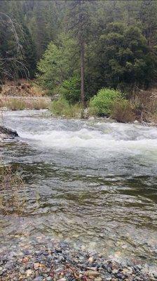 North Yuba river