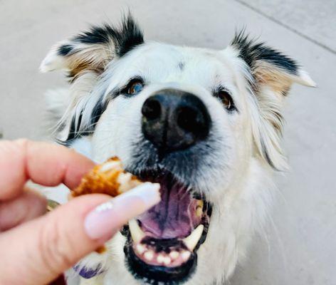 enjoying fried chicken