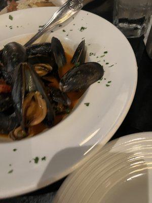 Mussels