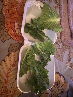 The lettuce for the the chicken Lettuce Wrap