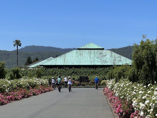 Napa Valley Bike  Tours at Laird Winery