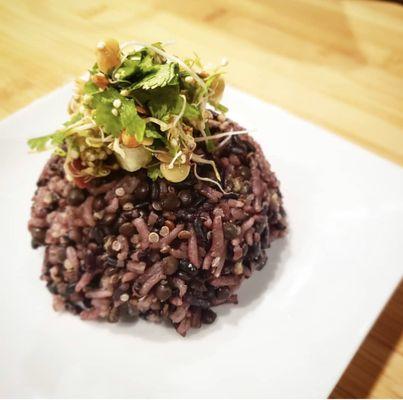 Rice and beans topped with sprouts and out house sauces