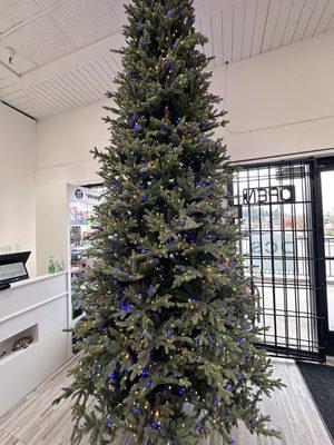 12ft Christmas tree 
Micro LED 

https://maps.app.goo.gl/BcuTFn8eEkdHJNio9?g_st=com.google.maps.preview.copy