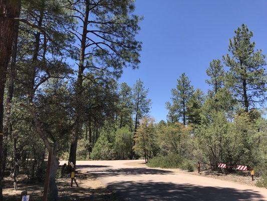 Entrance to the Mountain Lion Loop.