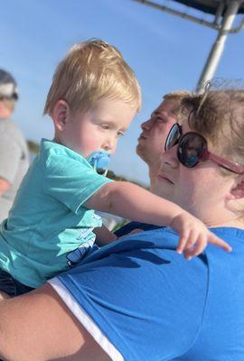 Grandson seeing his first dolphin!