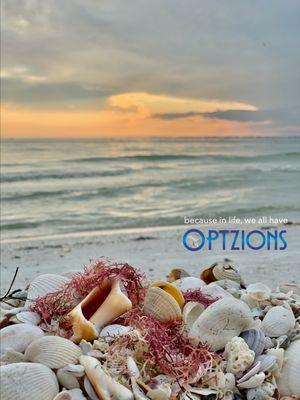 Southwest Florida real estate options with Optzions Realty and Optzions Exclusive Properties