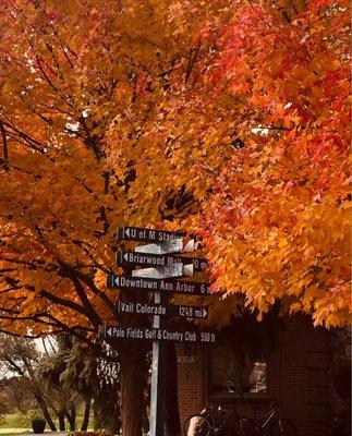 Fun signage with rich Autumn colors.