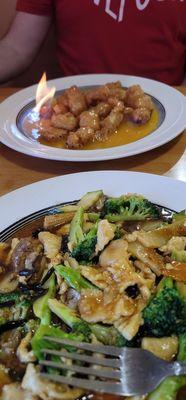 Orange Chicken (on fire) & Garlic Chicken!