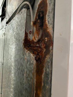 Rusted water line