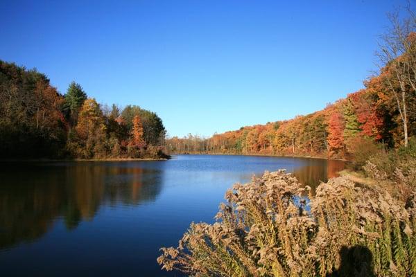 Small Lake in Fall