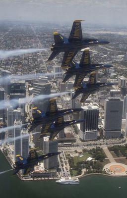 Navy Blue Angles.