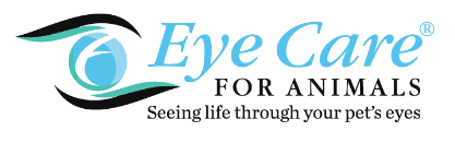 Eye Care for Animals - Gilbert