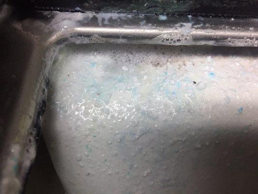 Mold in the detergent compartments.