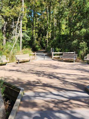 Benches on the boardwalk to take in nature