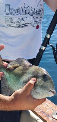 We went for a great tour on the Casey Key Water Taxi and even casted a few lines. Beautiful weather for sure.