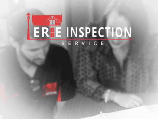 Home Inspection Review