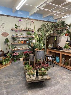 Plant & Garden Inside and shot of our custom built hydroponic plant flood table