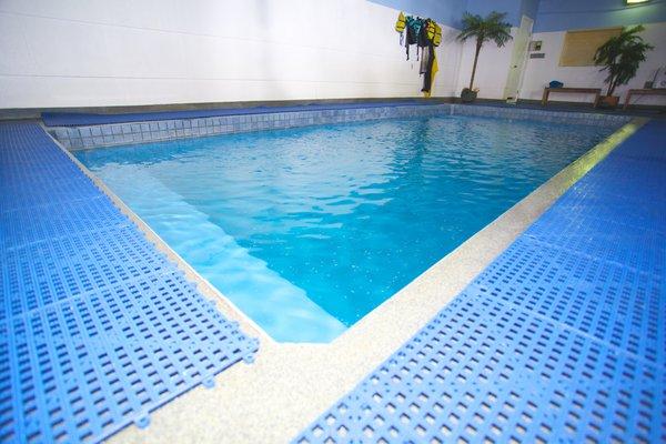 A Swimming Pool Just For Dogs!