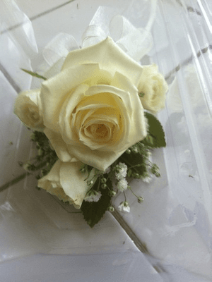 Actual photo - not promotional or professional. Corsage for my grandma for Mother's Day!