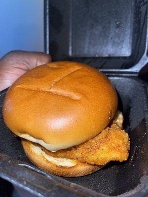 Hot honey chicken sandwich