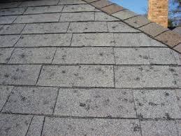 Typical hail damage to an architectural asphalt shingle