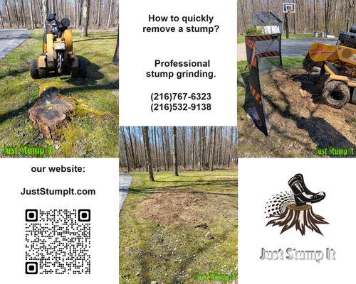 Quick stump removal. Once the stump is removed, the area will be thoroughly excavated and ready for new plantings. #quick_stump_removal