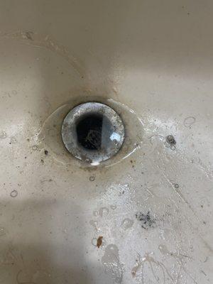 Poor plumbing, perpetually slow drains. My bathtub wouldn't drain for weeks when I moved in, now the bathroom sink.