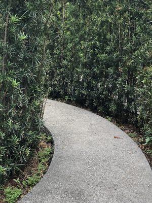 Hedge maze