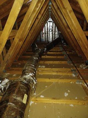 Attic insulation removal due to rodent contamination.