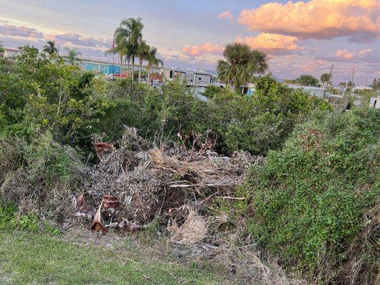 Mosquito Lagoon RV Park