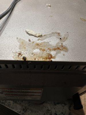 Rat Feces on my High End Kitchen Aide Appliances