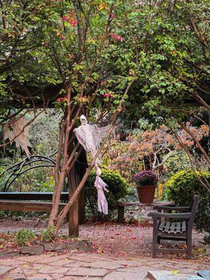 Still a little spooky in the garden. Fall view