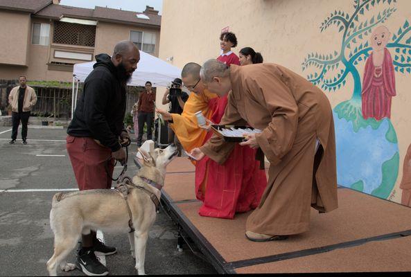 Fur Babies blessing