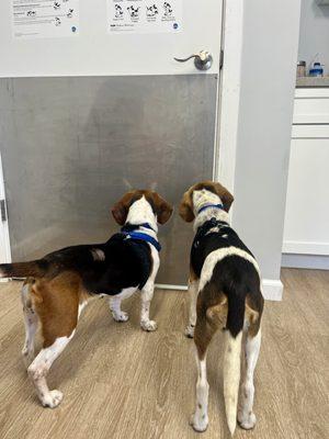 The girls eagerly awaiting Dr. Constance to return. They LOVED her!