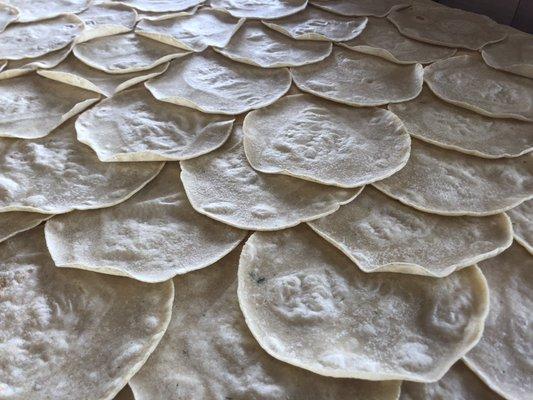 Fresh Corn Tortillas - gluten free