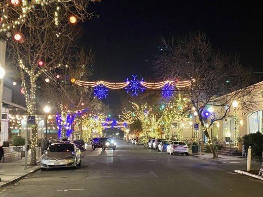 Holiday lights in Berkeley