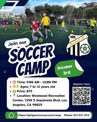 One Day Soccer Camp!