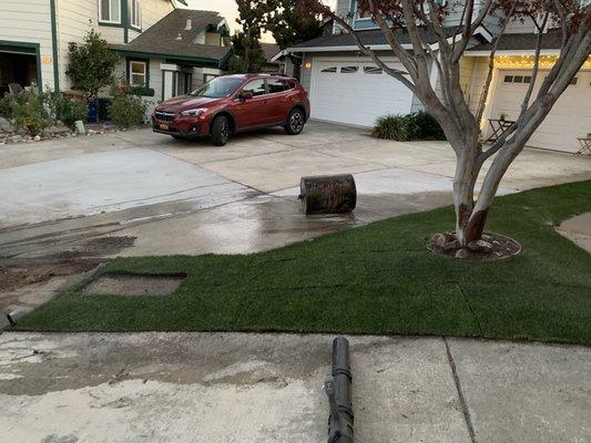 Sod And Seed