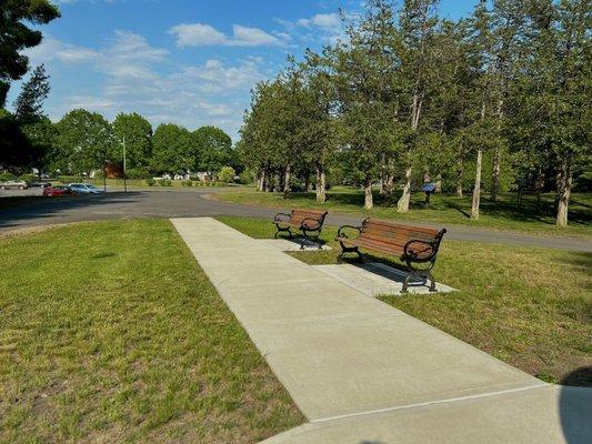 Places to sit, Parking lot, Forest, Sidewalk