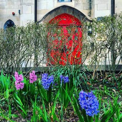 Flowers at our front door :)