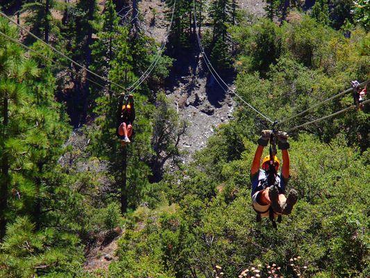 Ziplines competition! A race, huh!