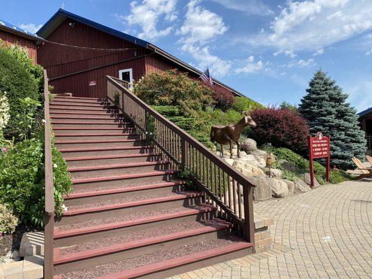 Steps leading to the Museum entrance.