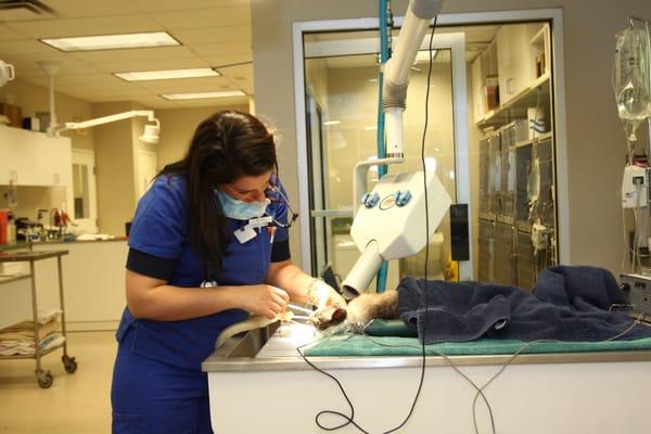 dental suite with digital xrays