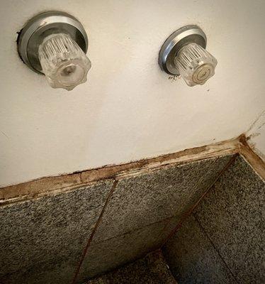 Shower mold